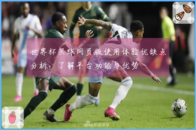 世界杯买球网页版使用体验优缺点分析，了解平台功能与优势