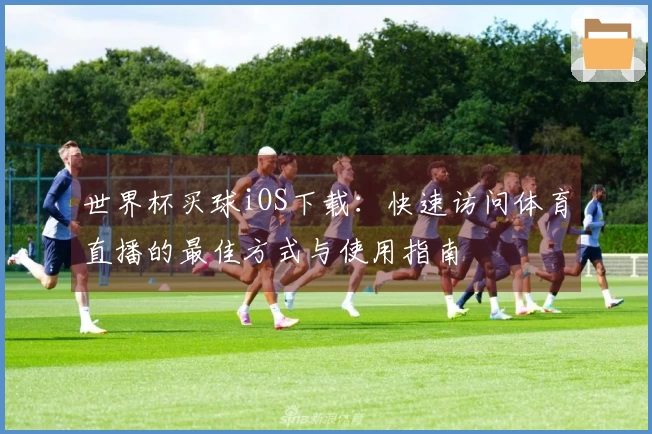 世界杯买球iOS下载：快速访问体育直播的最佳方式与使用指南