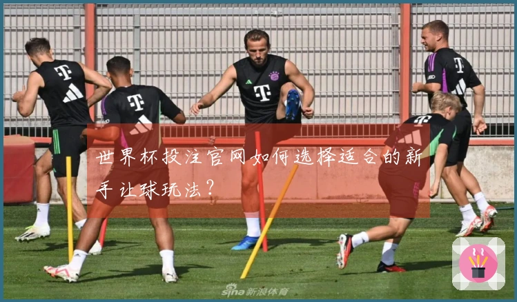 世界杯投注官网如何选择适合的新手让球玩法？