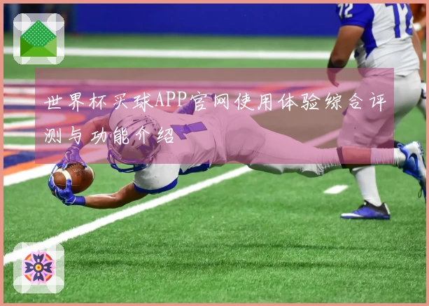 世界杯买球APP官网使用体验综合评测与功能介绍