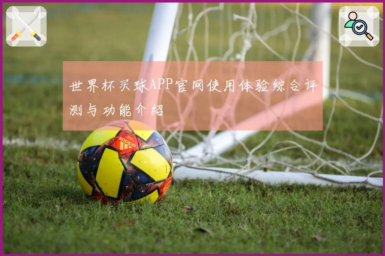 世界杯买球APP官网使用体验综合评测与功能介绍